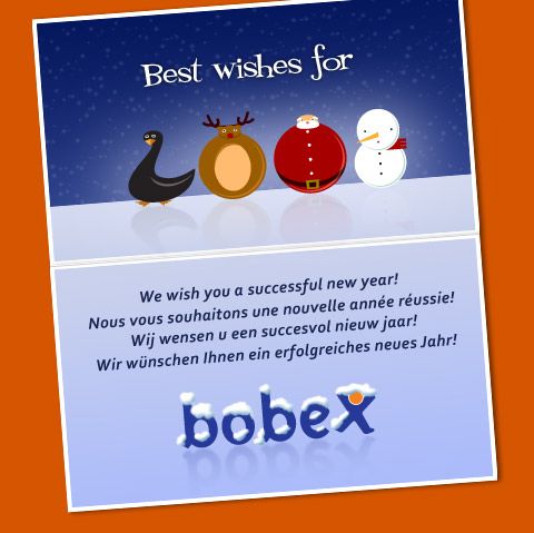 Bobex 2008